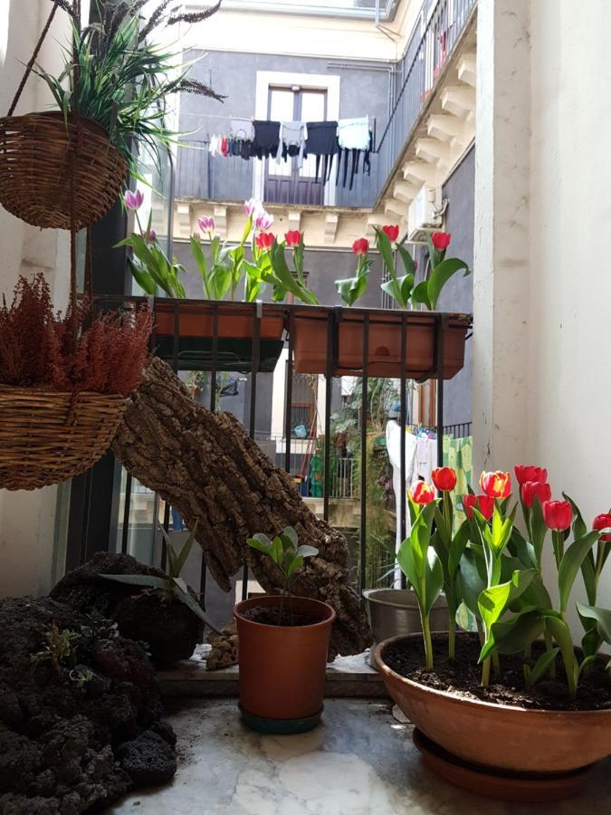 Bellini Apartment *